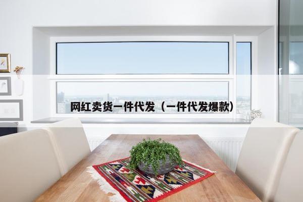 网红卖货一件代发（一件代发爆款）