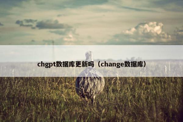 chgpt数据库更新吗（change数据库）