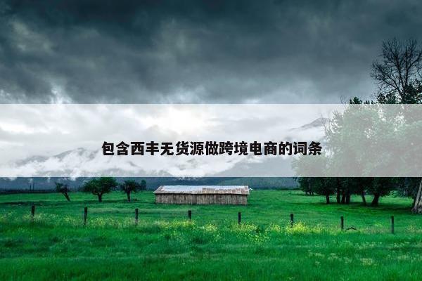 包含西丰无货源做跨境电商的词条