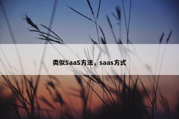 类似SaaS方法，saas方式