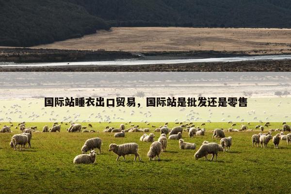 国际站睡衣出口贸易，国际站是批发还是零售