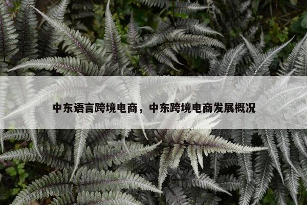 中东语言跨境电商，中东跨境电商发展概况