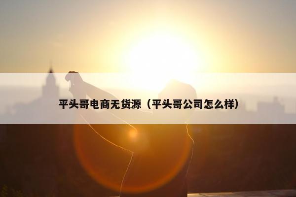 平头哥电商无货源（平头哥公司怎么样）