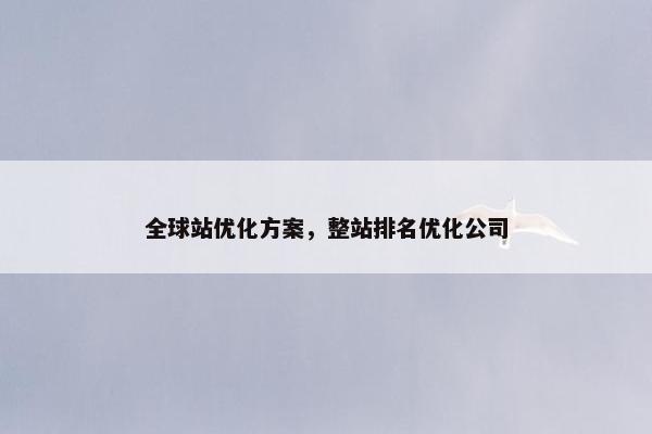 全球站优化方案，整站排名优化公司