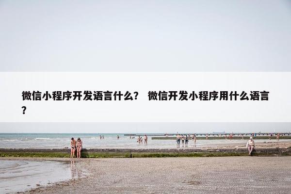 微信小程序开发语言什么？ 微信开发小程序用什么语言？