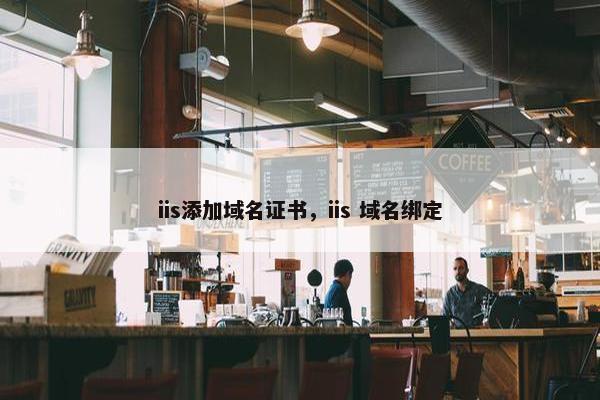 iis添加域名证书，iis 域名绑定