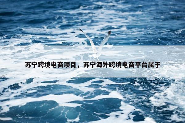 苏宁跨境电商项目，苏宁海外跨境电商平台属于
