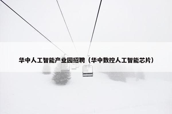 华中人工智能产业园招聘（华中数控人工智能芯片）