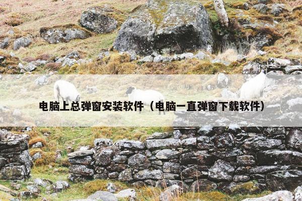 电脑上总弹窗安装软件（电脑一直弹窗下载软件）