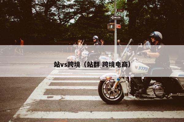 站vs跨境（站群 跨境电商）