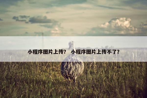 小程序图片上传？ 小程序图片上传不了？