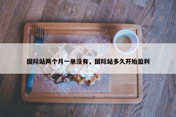 国际站两个月一单没有，国际站多久开始盈利