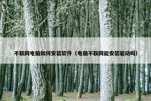 不联网电脑如何安装软件（电脑不联网能安装驱动吗）