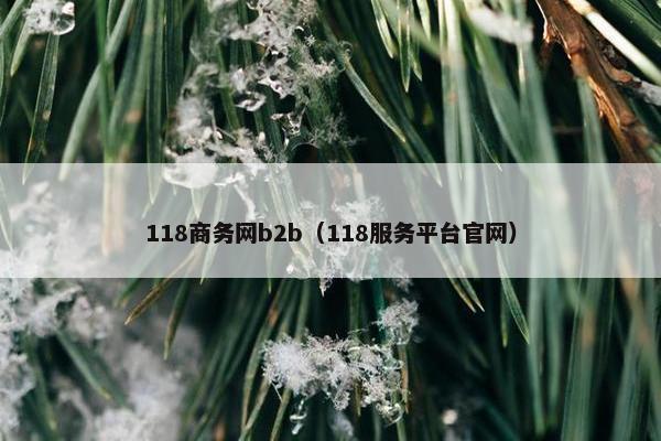 118商务网b2b（118服务平台官网）