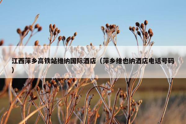 江西萍乡高铁站维纳国际酒店（萍乡维也纳酒店电话号码）