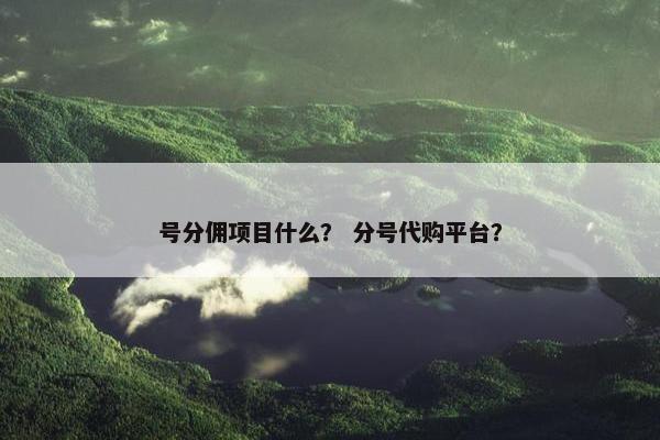 号分佣项目什么？ 分号代购平台？