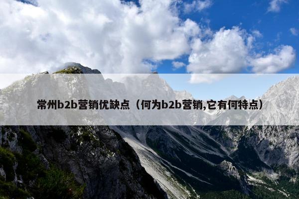 常州b2b营销优缺点（何为b2b营销,它有何特点）