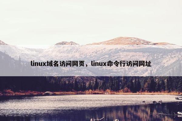 linux域名访问网页，linux命令行访问网址