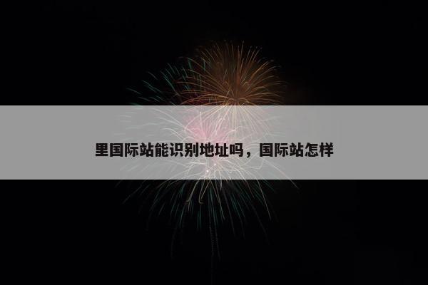 里国际站能识别地址吗，国际站怎样
