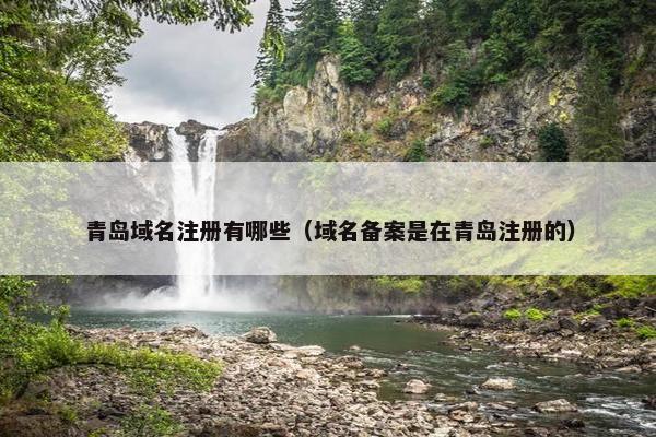 青岛域名注册有哪些（域名备案是在青岛注册的）