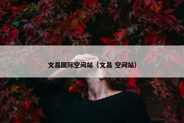 文昌国际空间站（文昌 空间站）