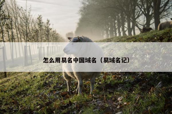 怎么用易名中国域名（易域名记）