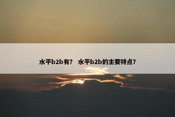水平b2b有？ 水平b2b的主要特点？