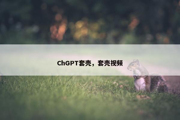 ChGPT套壳，套壳视频