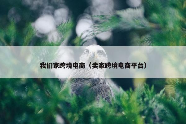 我们家跨境电商（卖家跨境电商平台）