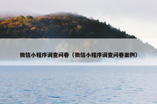微信小程序调查问卷（微信小程序调查问卷案例）