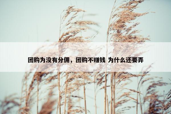 团购为没有分佣，团购不赚钱 为什么还要弄