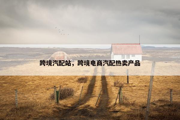 跨境汽配站，跨境电商汽配热卖产品