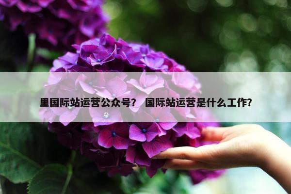 里国际站运营公众号？ 国际站运营是什么工作？