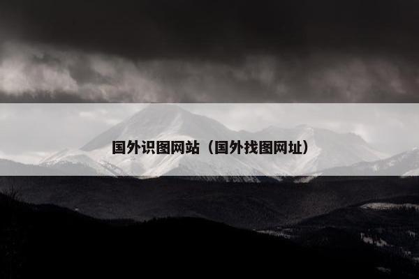 国外识图网站（国外找图网址）