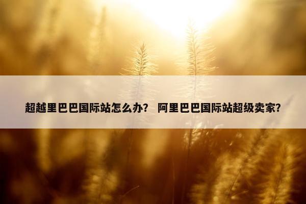 超越里巴巴国际站怎么办？ 阿里巴巴国际站超级卖家？