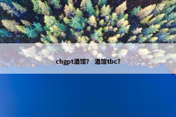 chgpt酒馆？ 酒馆tbc？