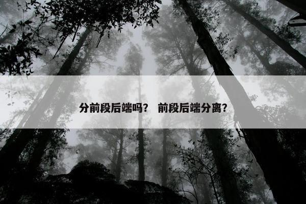 分前段后端吗？ 前段后端分离？