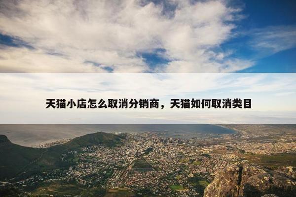 天猫小店怎么取消分销商，天猫如何取消类目