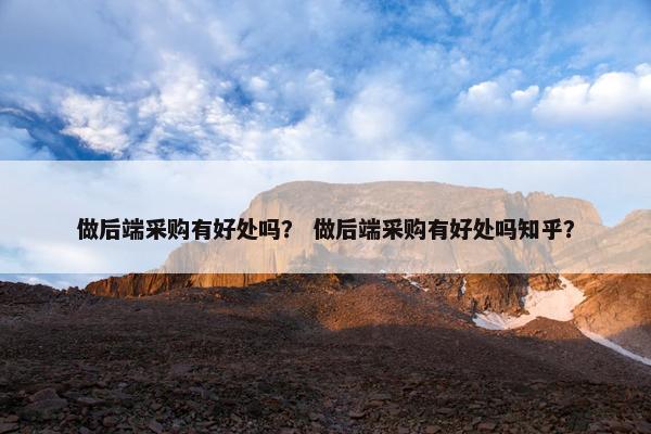 做后端采购有好处吗？ 做后端采购有好处吗知乎？