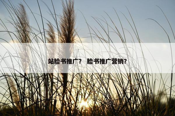 站脸书推广？ 脸书推广营销？