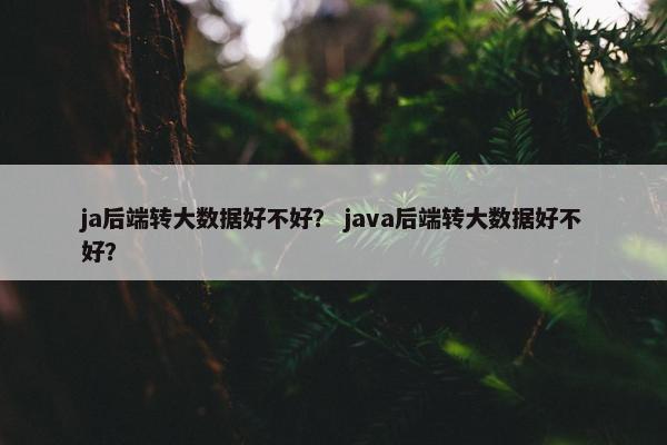 ja后端转大数据好不好？ java后端转大数据好不好？