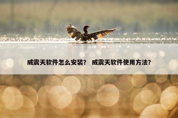 威震天软件怎么安装？ 威震天软件使用方法？