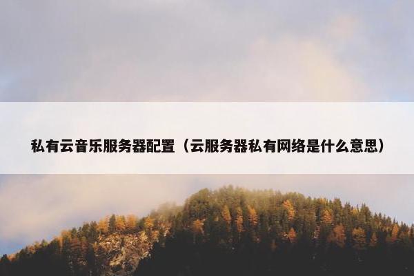 私有云音乐服务器配置（云服务器私有网络是什么意思）