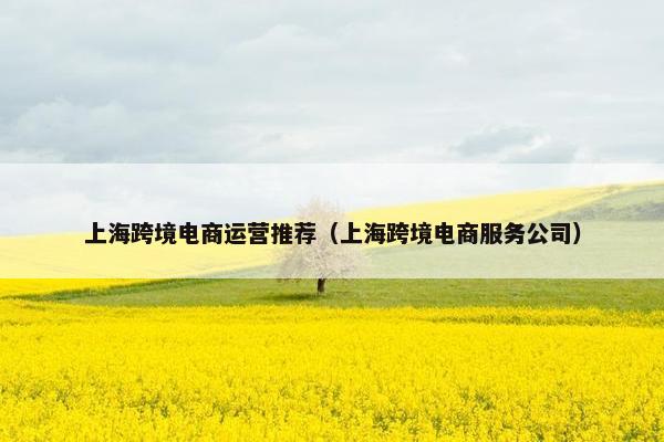 上海跨境电商运营推荐（上海跨境电商服务公司）