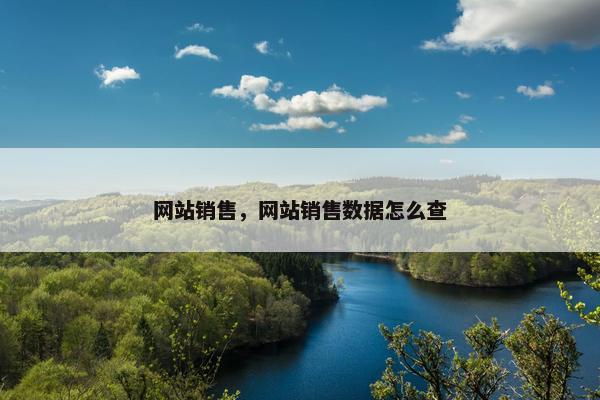 网站销售，网站销售数据怎么查
