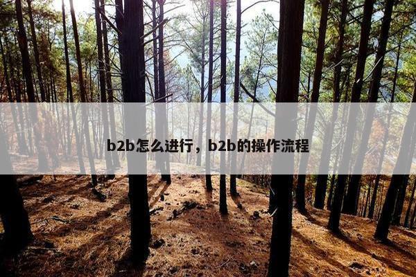 b2b怎么进行，b2b的操作流程