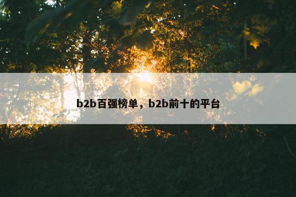 b2b百强榜单，b2b前十的平台