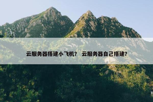 云服务器搭建小飞机？ 云服务器自己搭建？