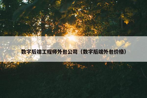 数字后端工程师外包公司（数字后端外包价格）