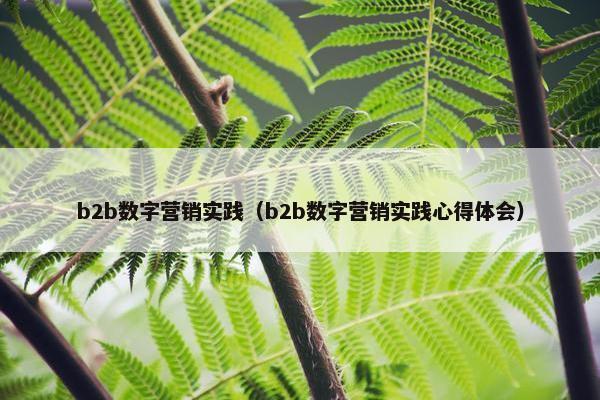 b2b数字营销实践（b2b数字营销实践心得体会）